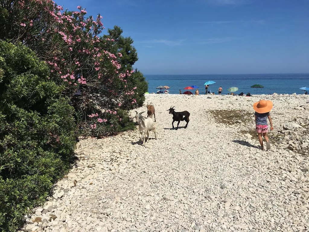 Il Nuovo Gabbiano Hotel Cala Gonone