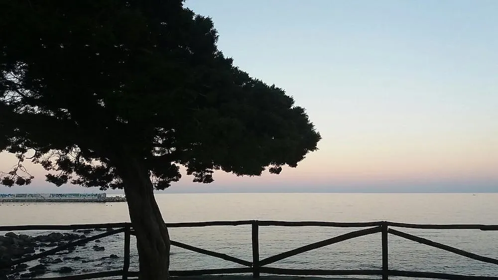 فندق Il Nuovo Gabbiano كالا غونوني